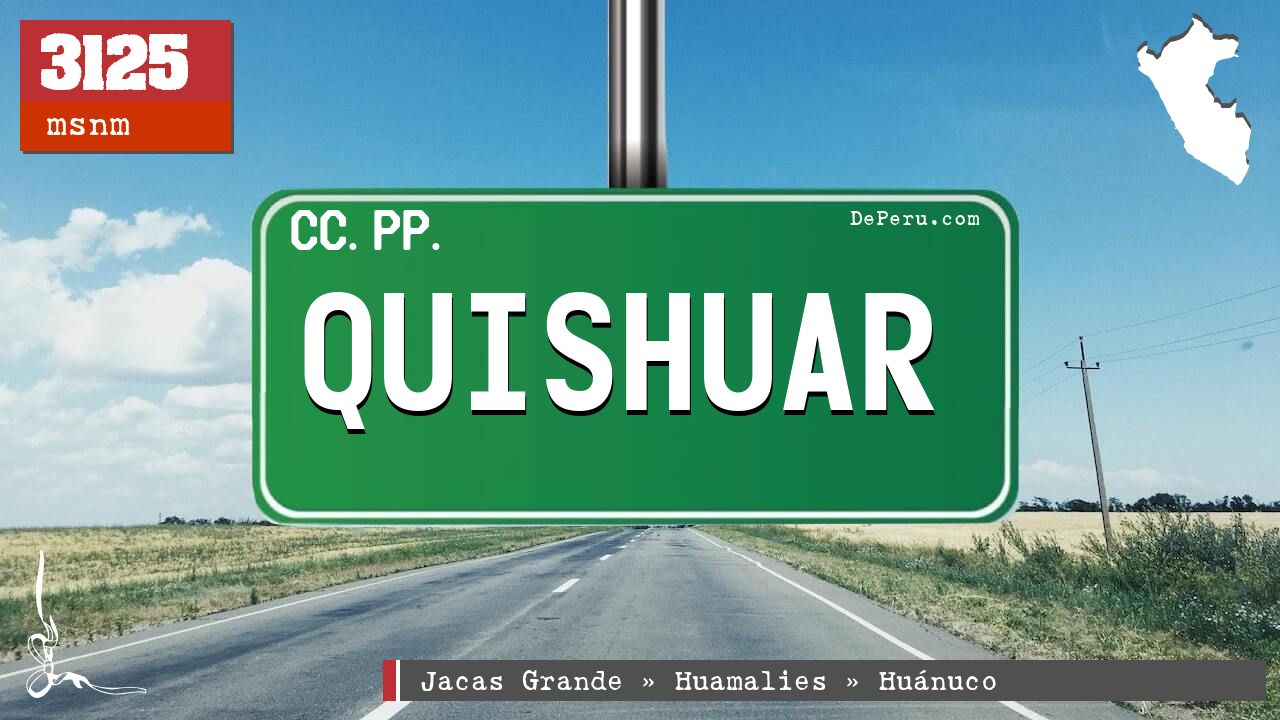 Quishuar