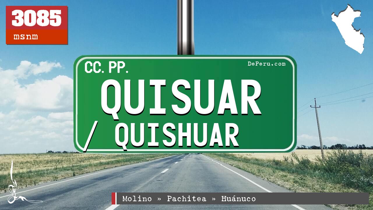 Quisuar / Quishuar