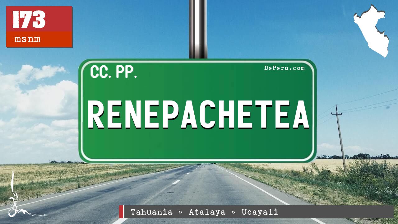 Renepachetea