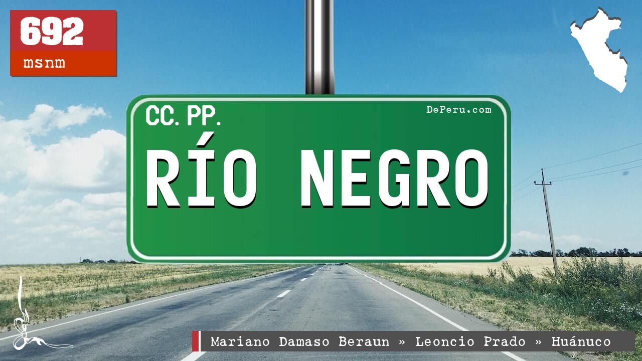 RO NEGRO