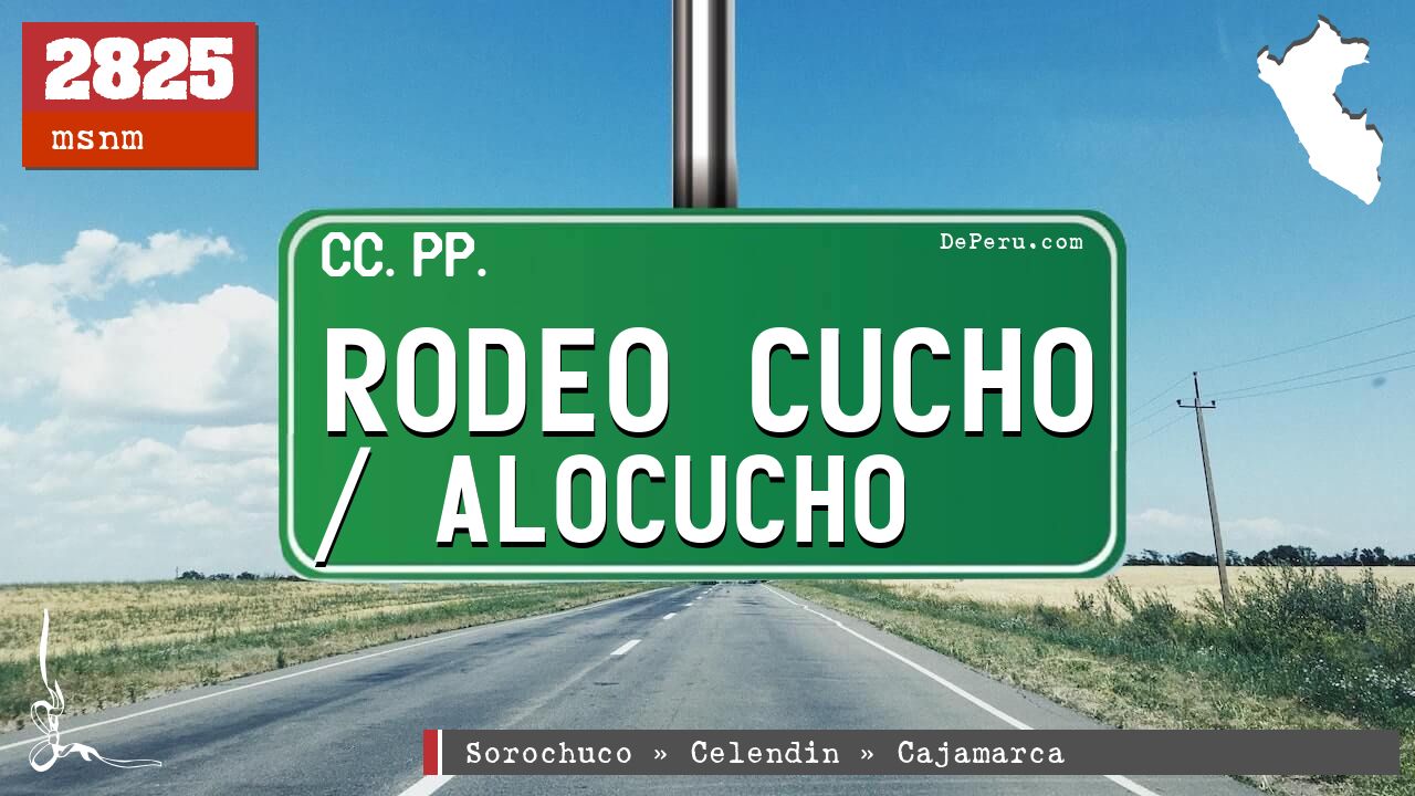 Rodeo Cucho / Alocucho