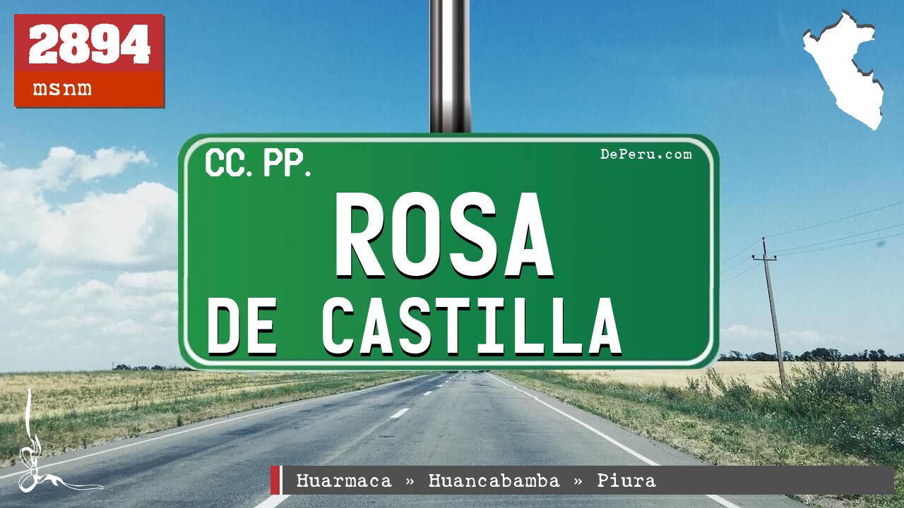 Rosa de Castilla