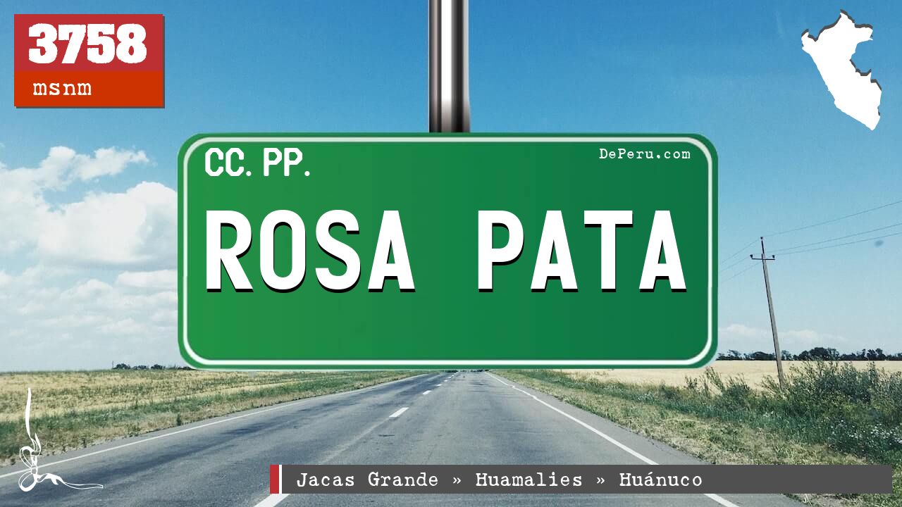 Rosa Pata