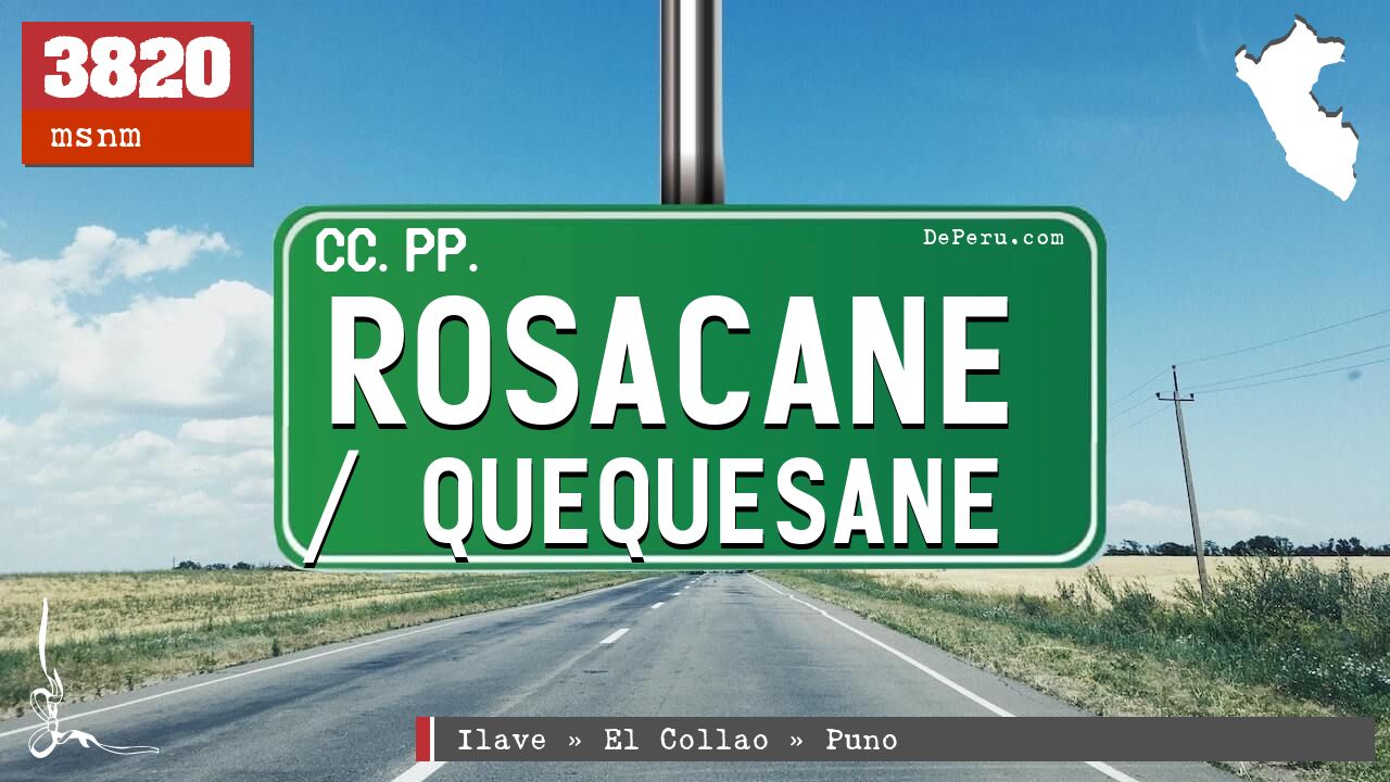 Rosacane / Quequesane