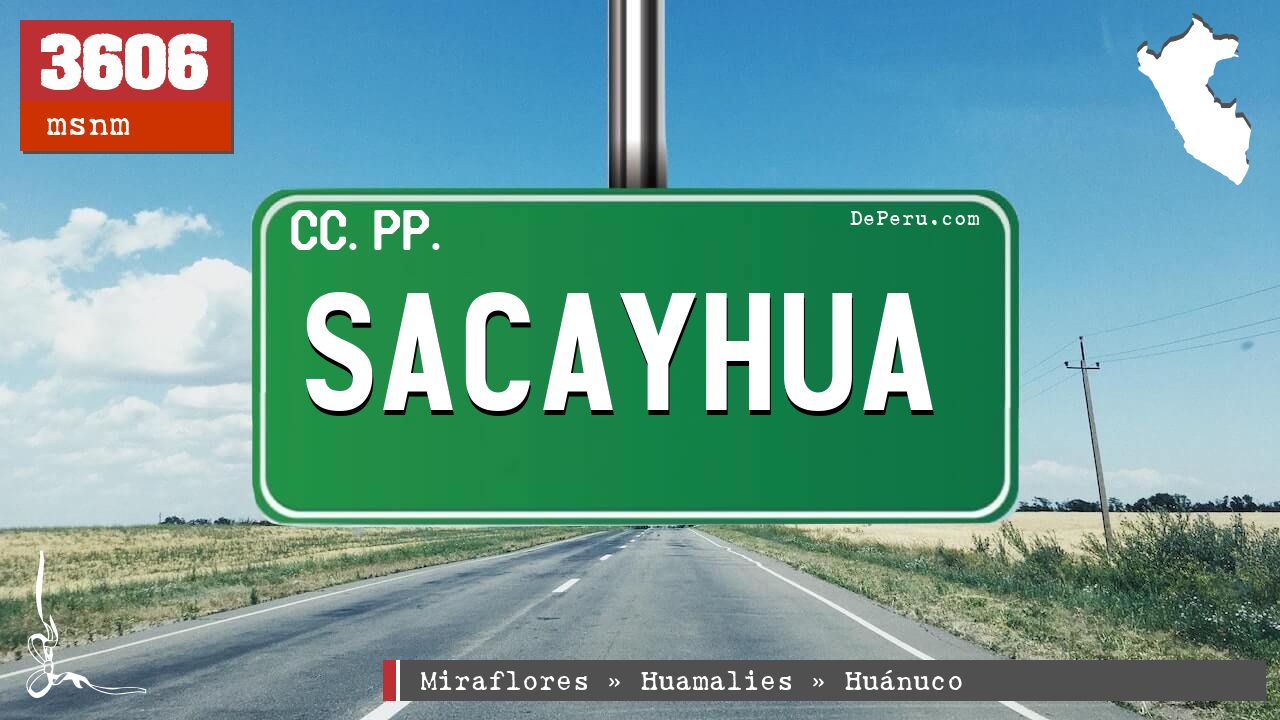 Sacayhua