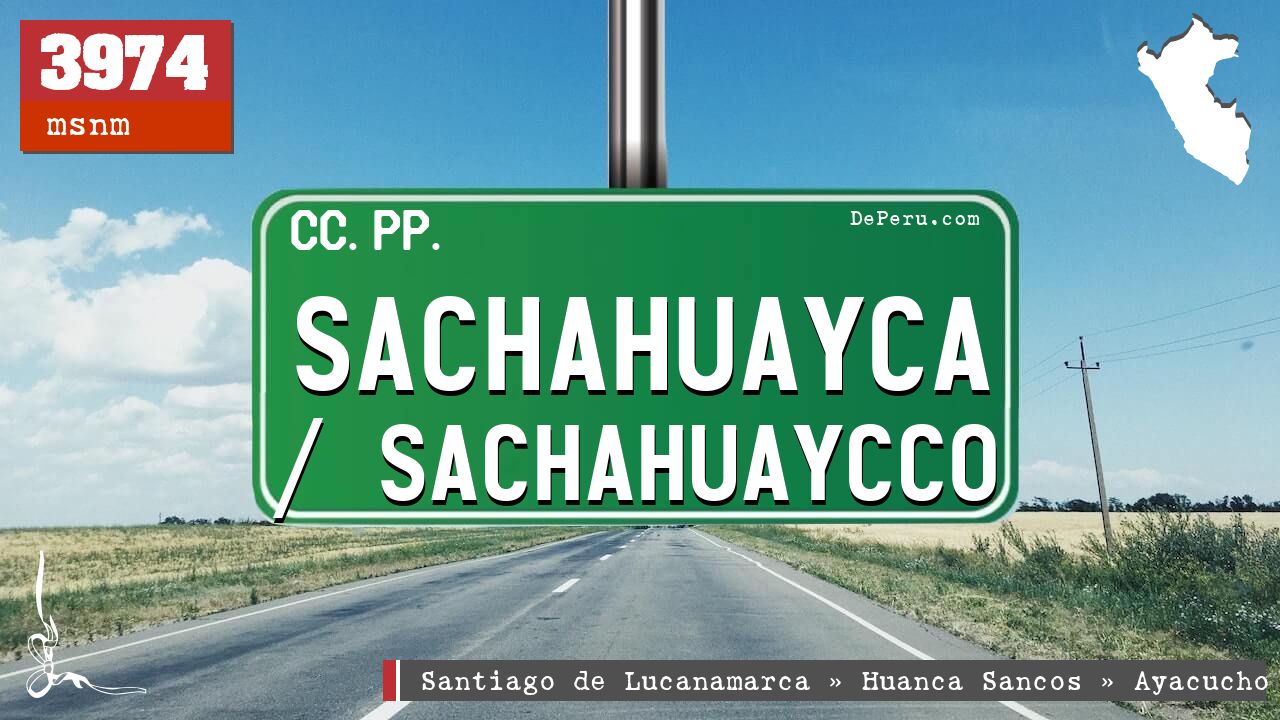 Sachahuayca / Sachahuaycco