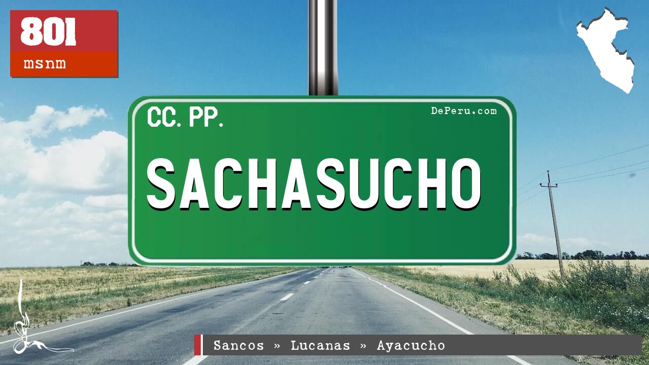 Sachasucho