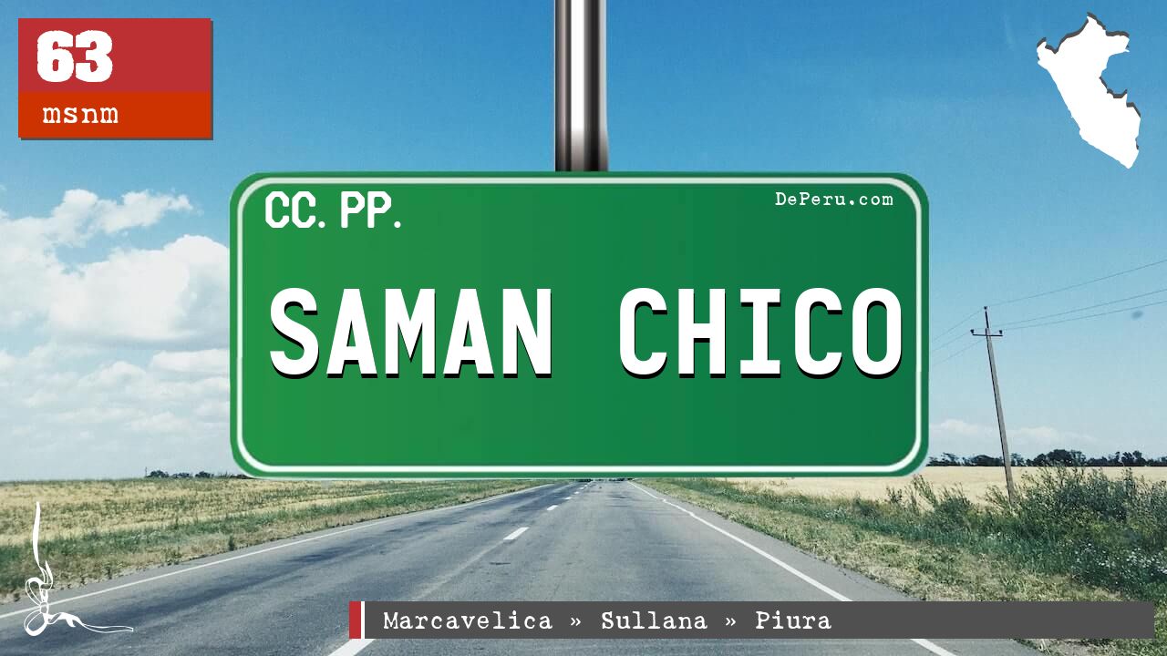 SAMAN CHICO