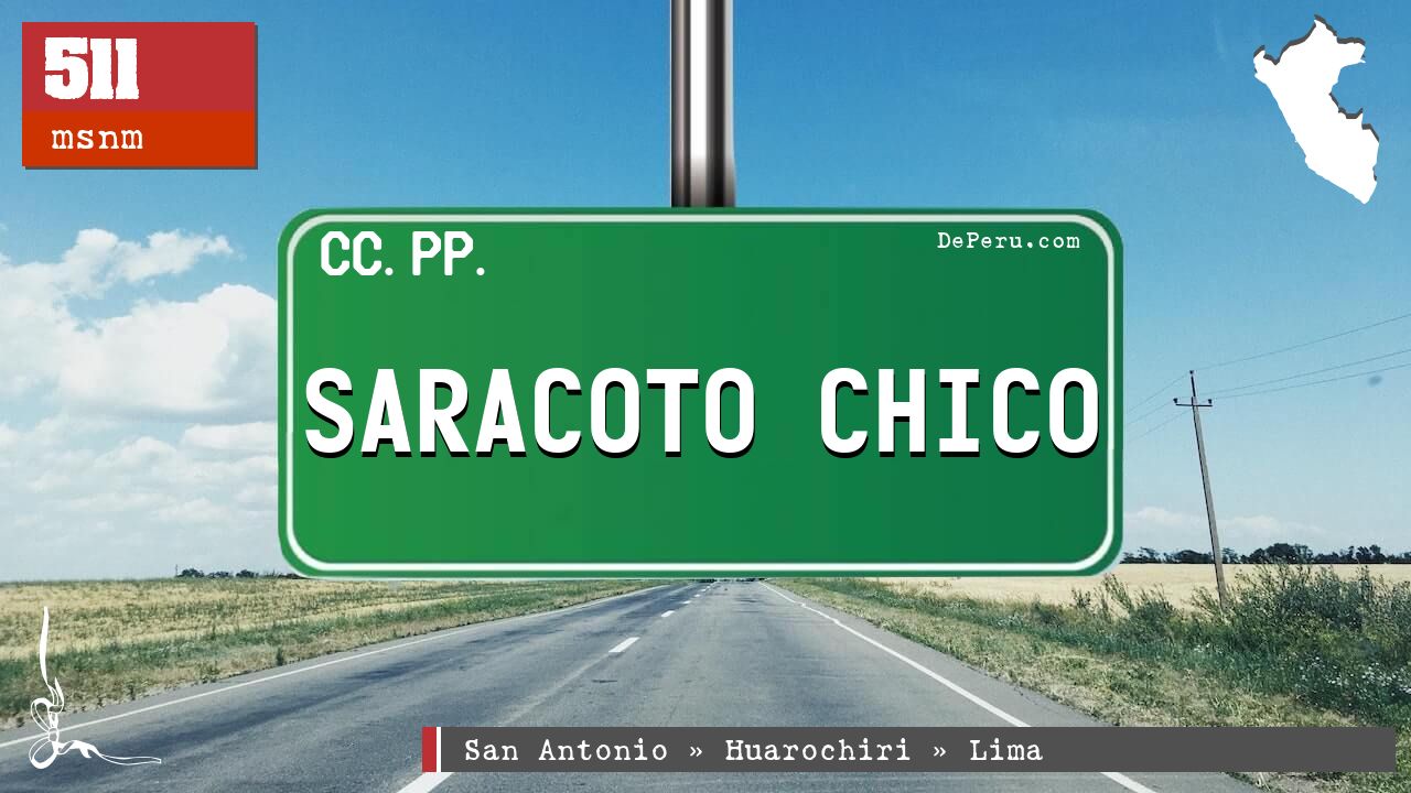 Saracoto Chico
