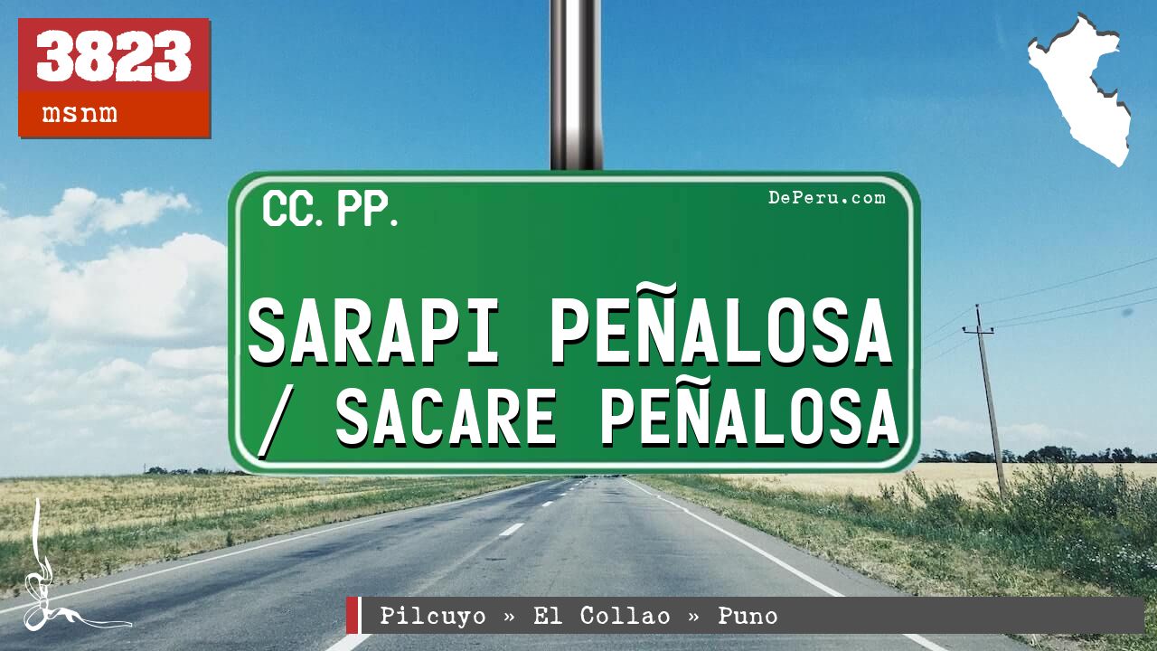 Sarapi Pealosa / Sacare Pealosa