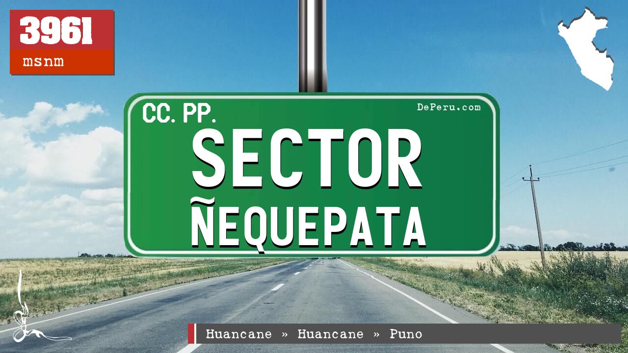 Sector Ñequepata