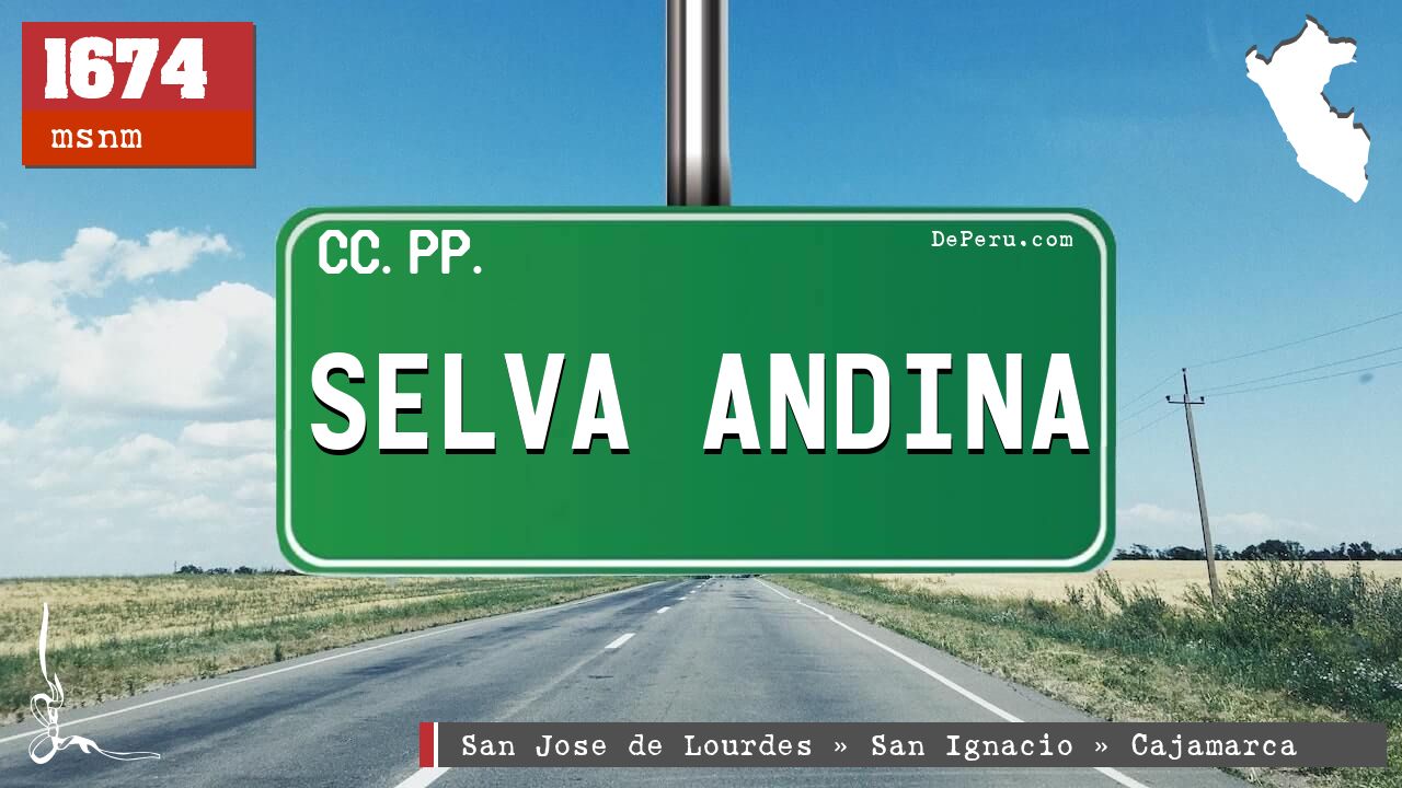 SELVA ANDINA