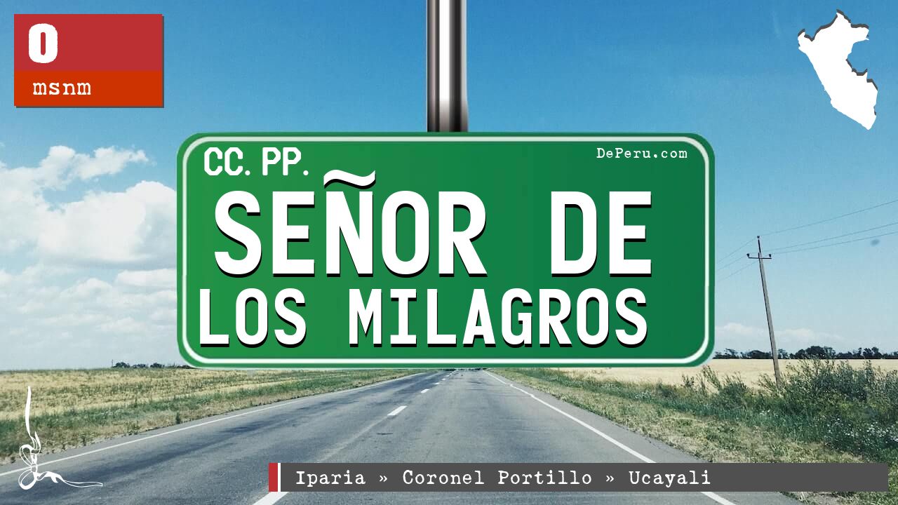 Seor De Los Milagros