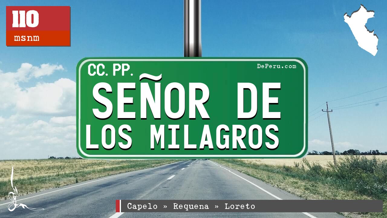 Seor de Los Milagros