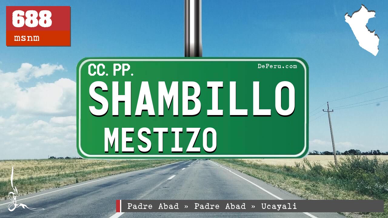 Shambillo Mestizo