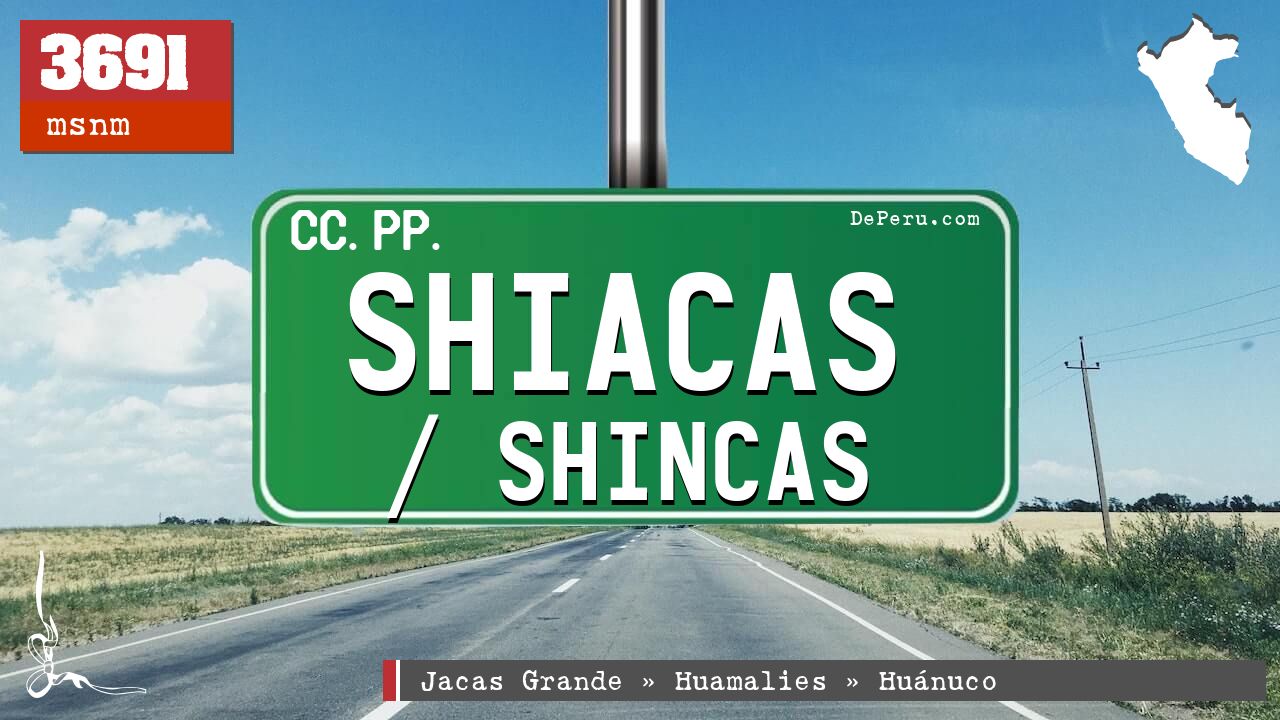 Shiacas / Shincas