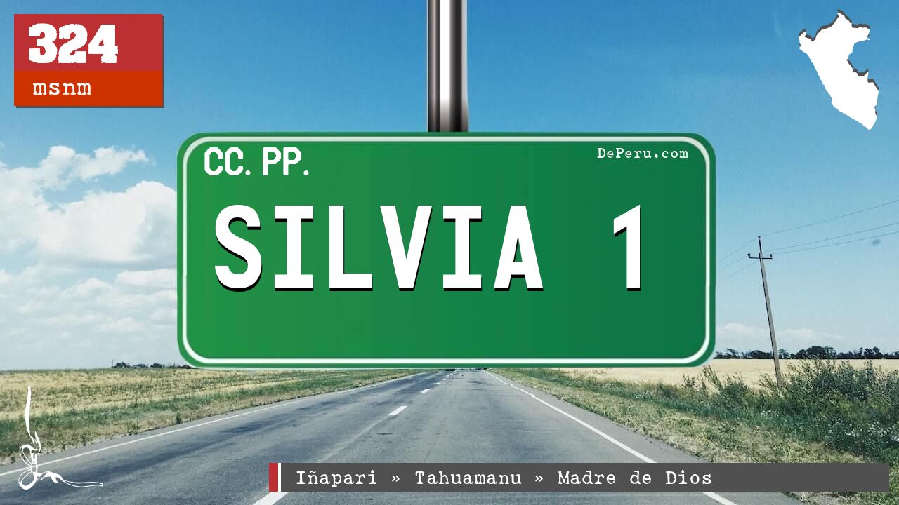 SILVIA 1