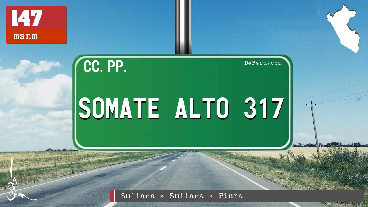 SOMATE ALTO 317