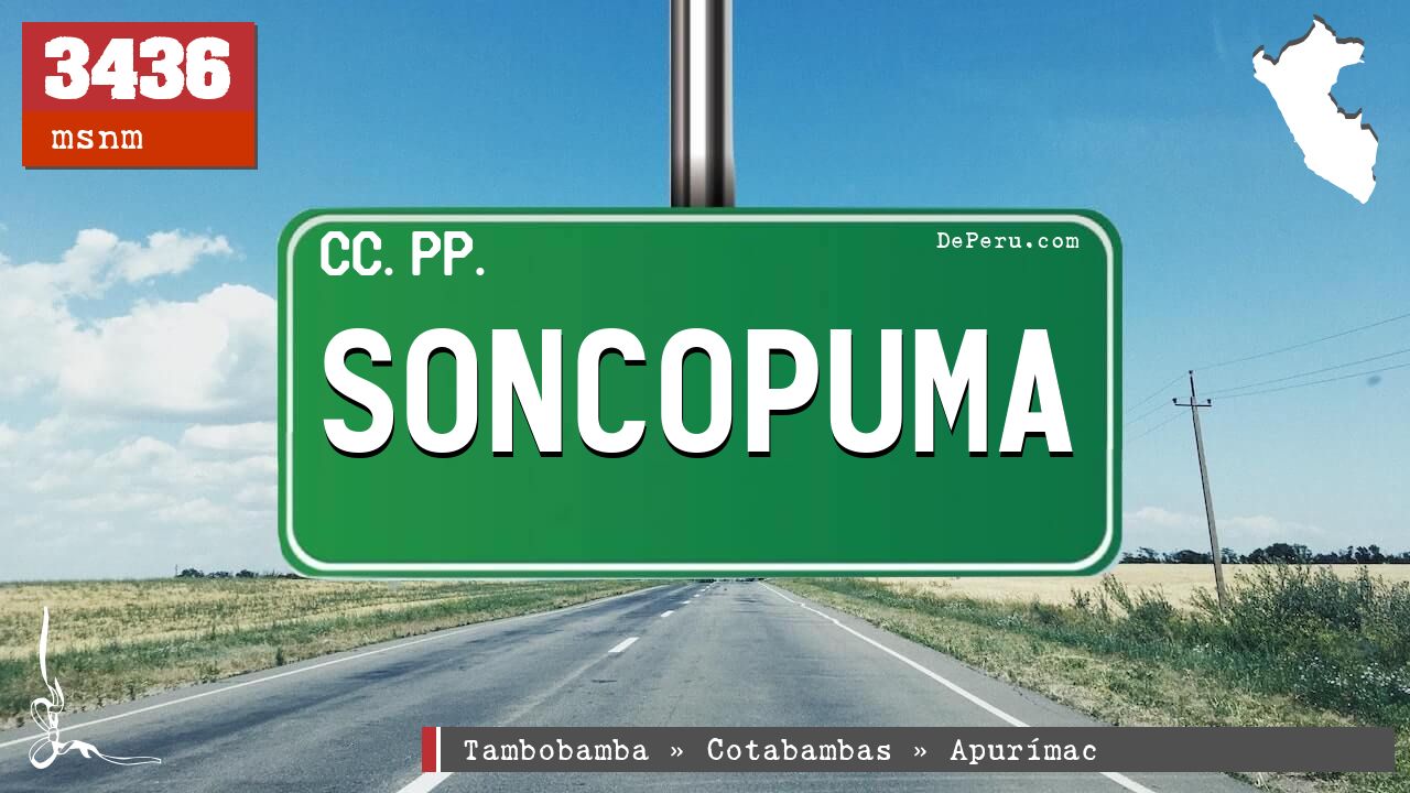 Soncopuma