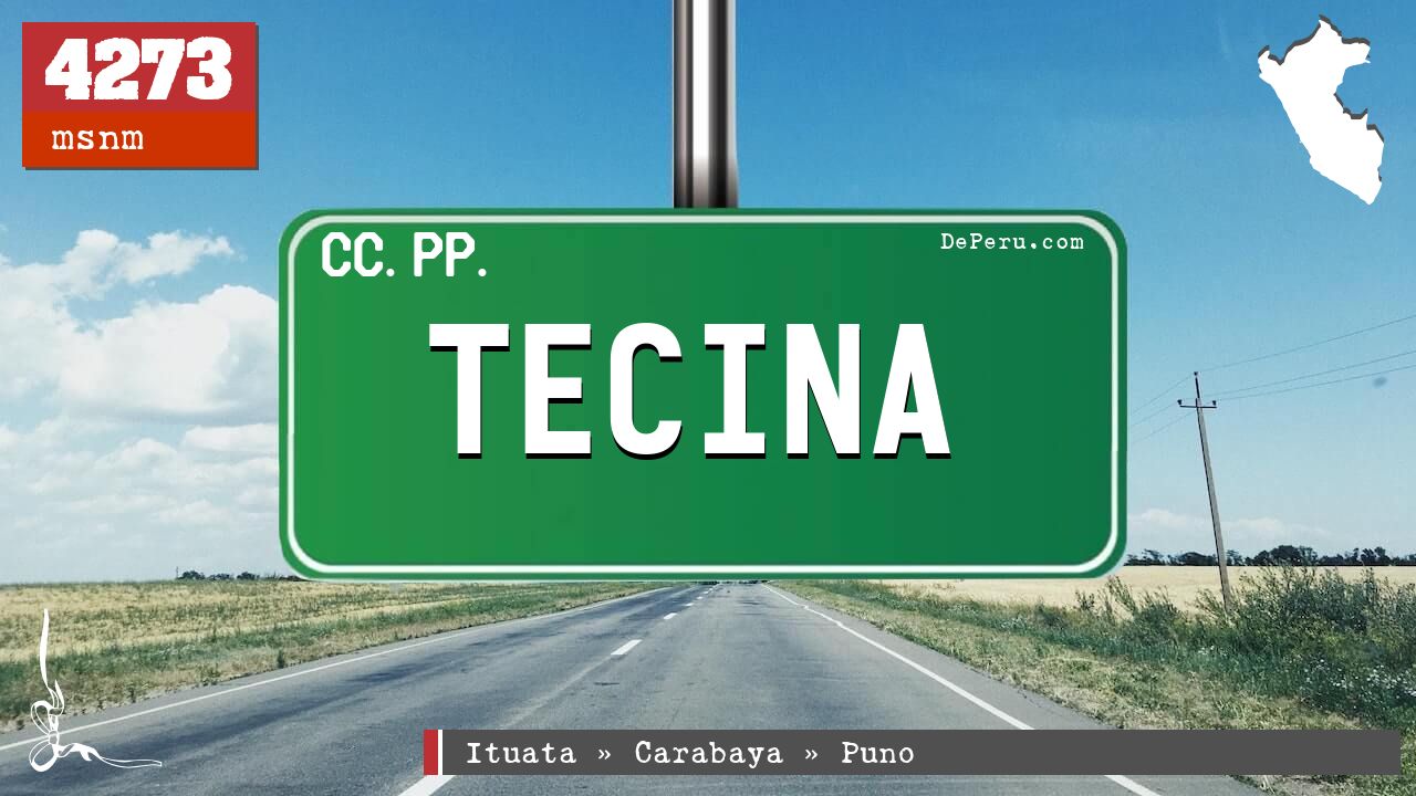 Tecina