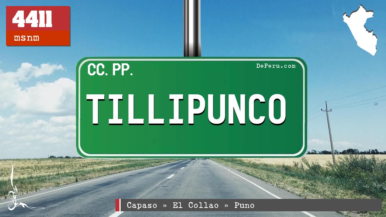 Tillipunco