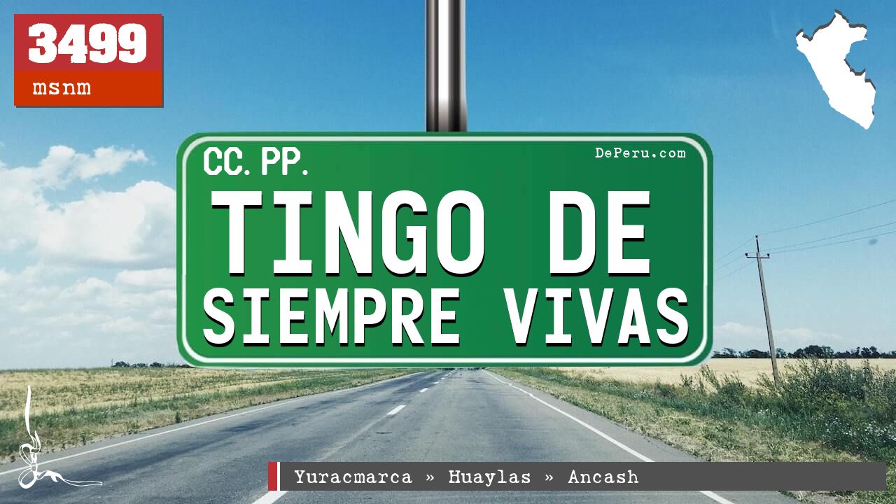 Tingo de Siempre Vivas