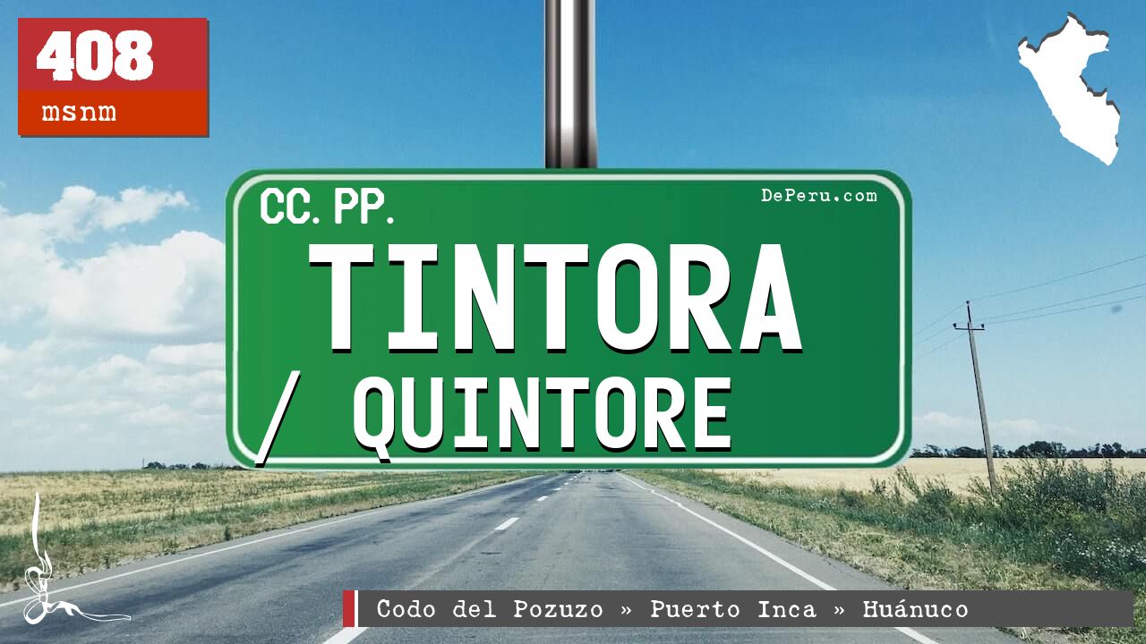 Tintora / Quintore