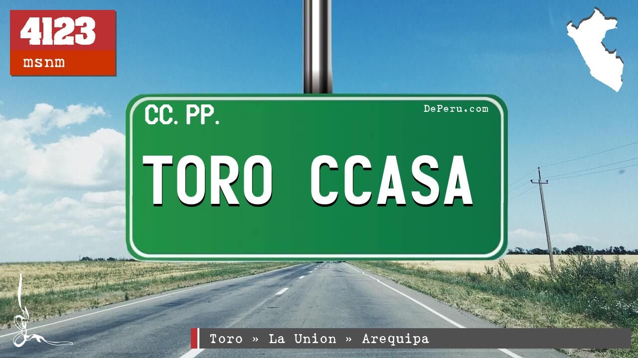 Toro Ccasa