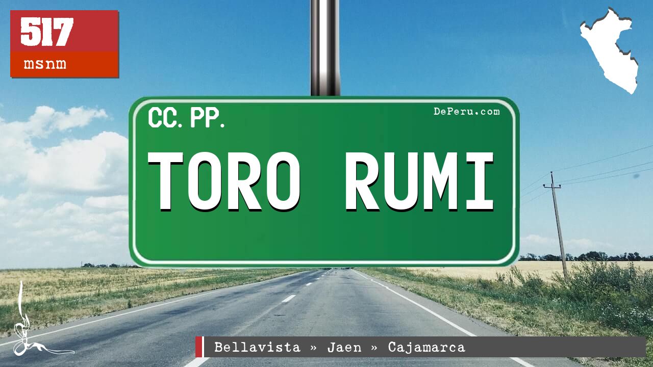 Toro Rumi