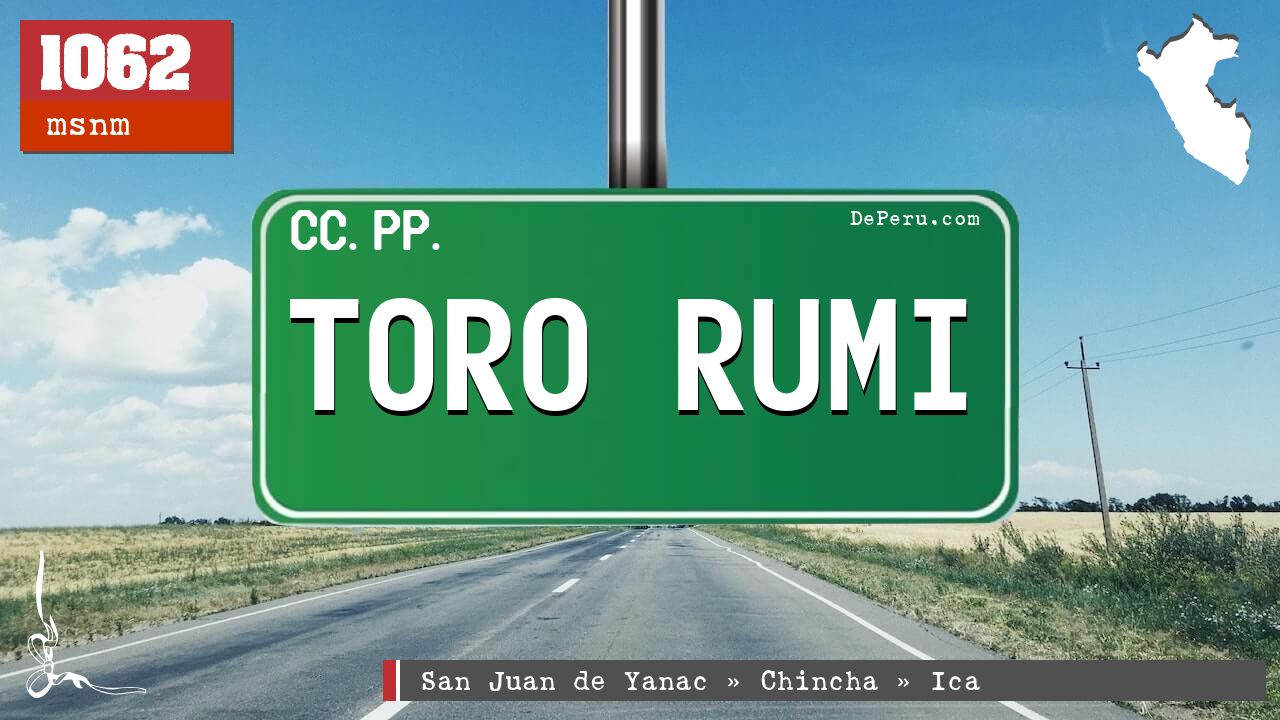 TORO RUMI