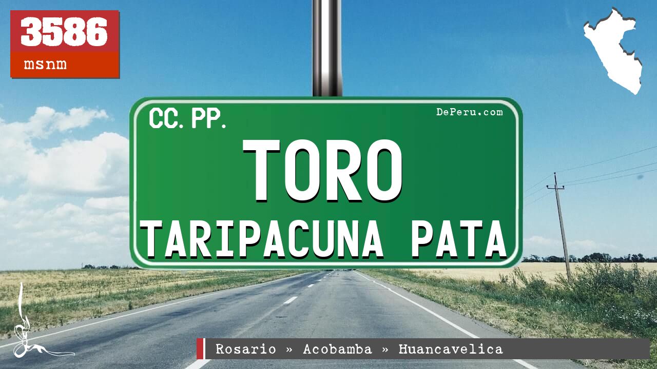 Toro Taripacuna Pata
