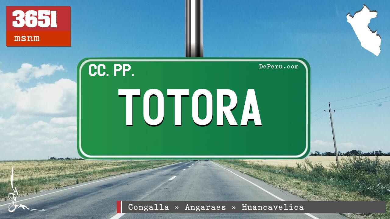 Totora