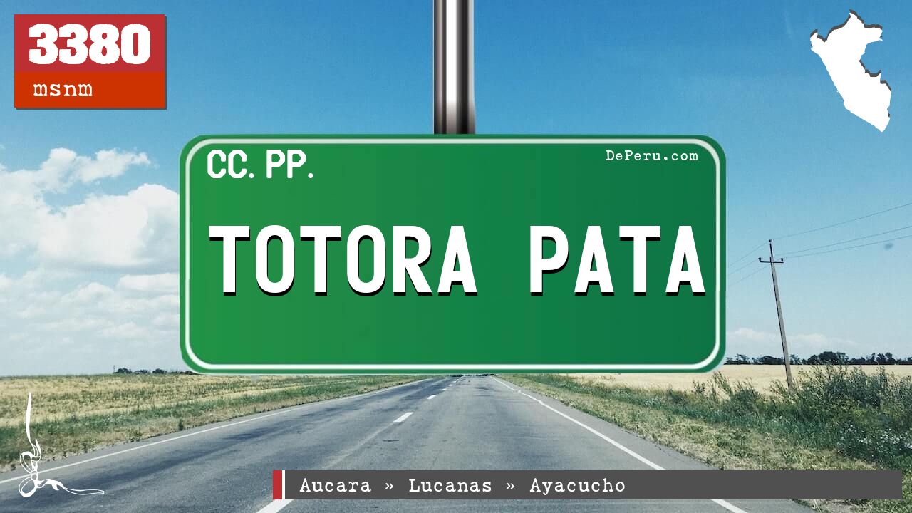 Totora Pata