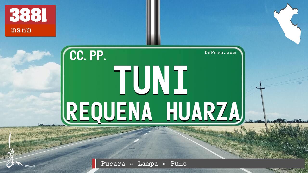 Tuni Requena Huarza