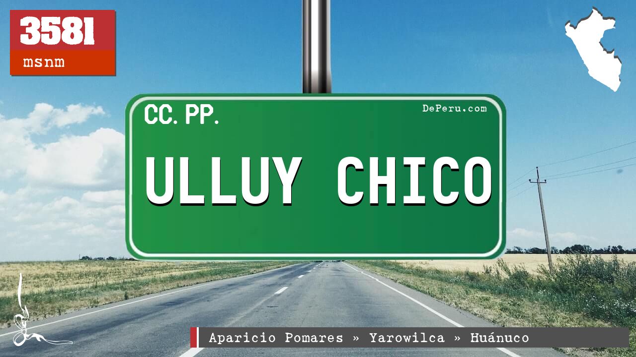 ULLUY CHICO