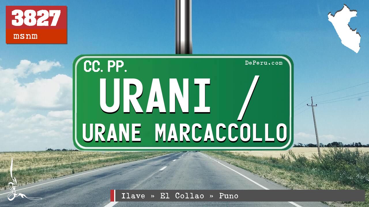 Urani / Urane Marcaccollo