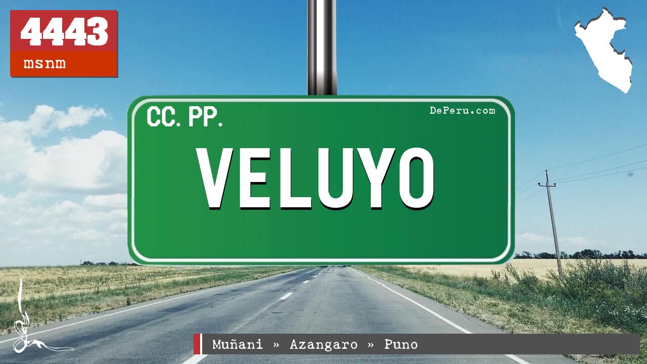 Veluyo