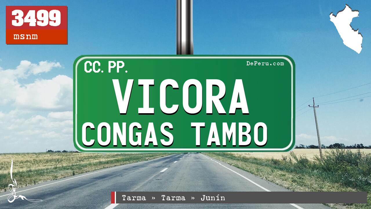 Vicora Congas Tambo