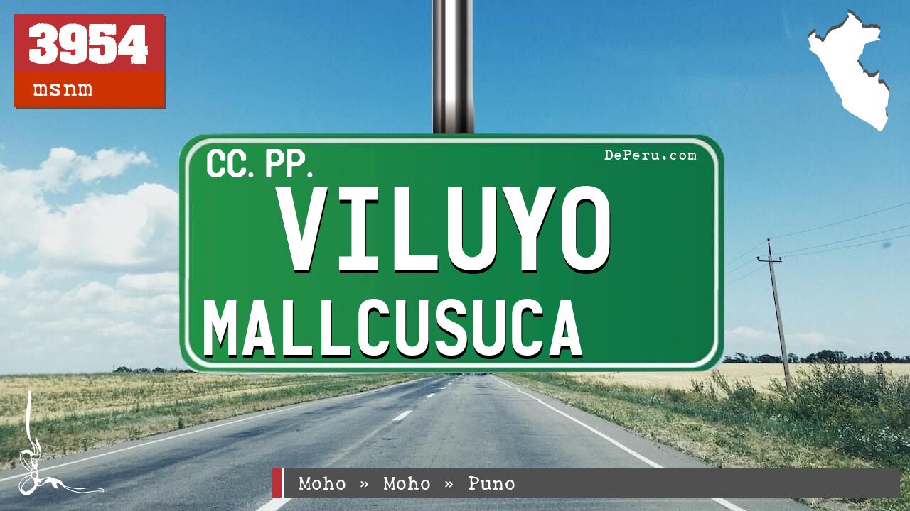 Viluyo Mallcusuca