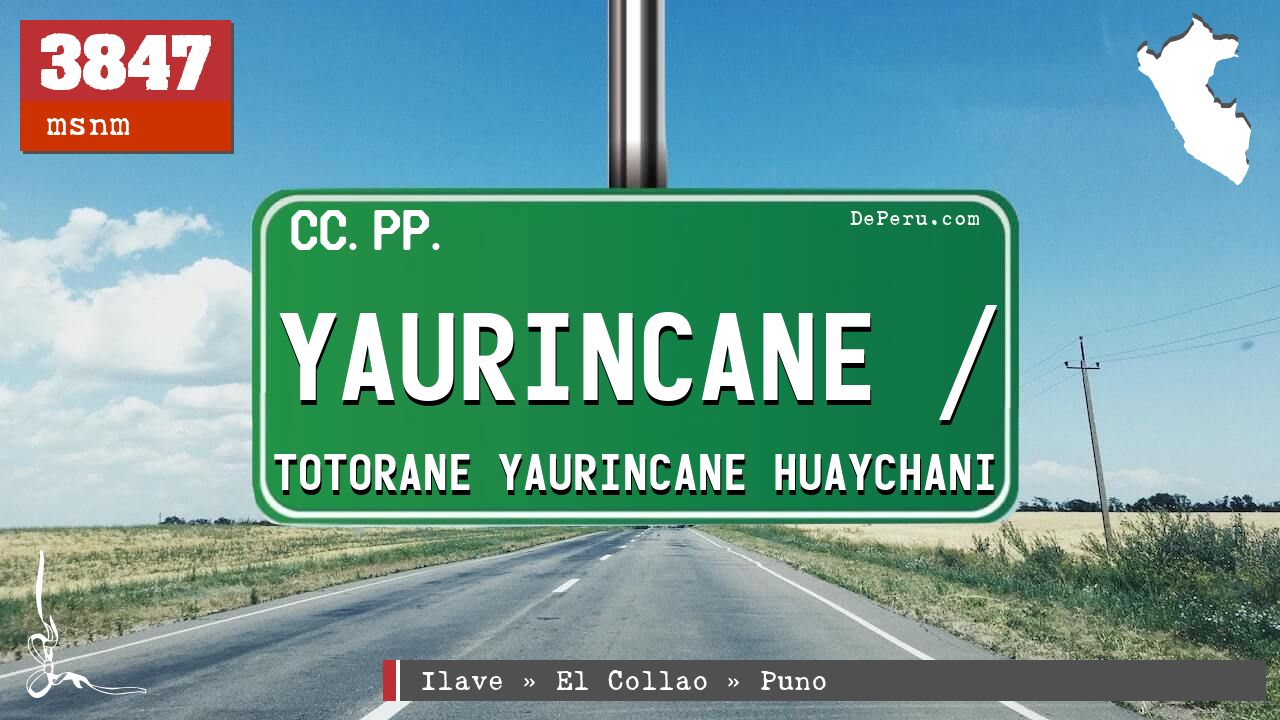 Yaurincane / Totorane Yaurincane Huaychani