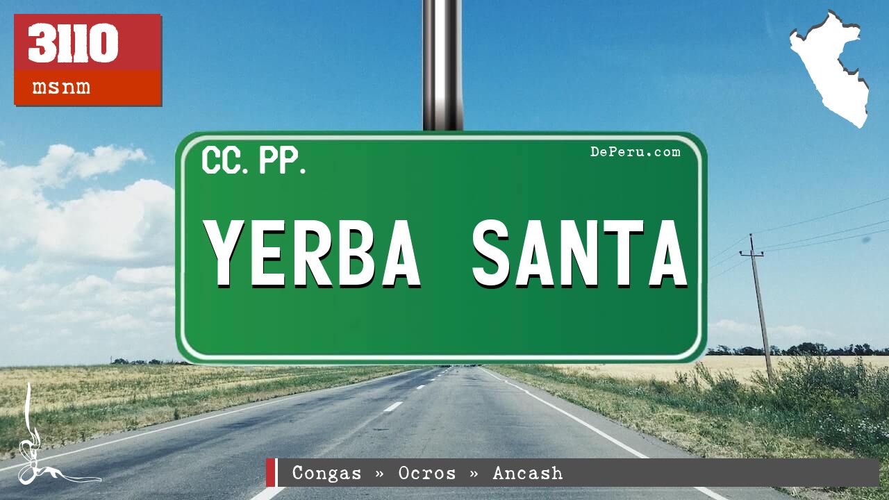 Yerba Santa