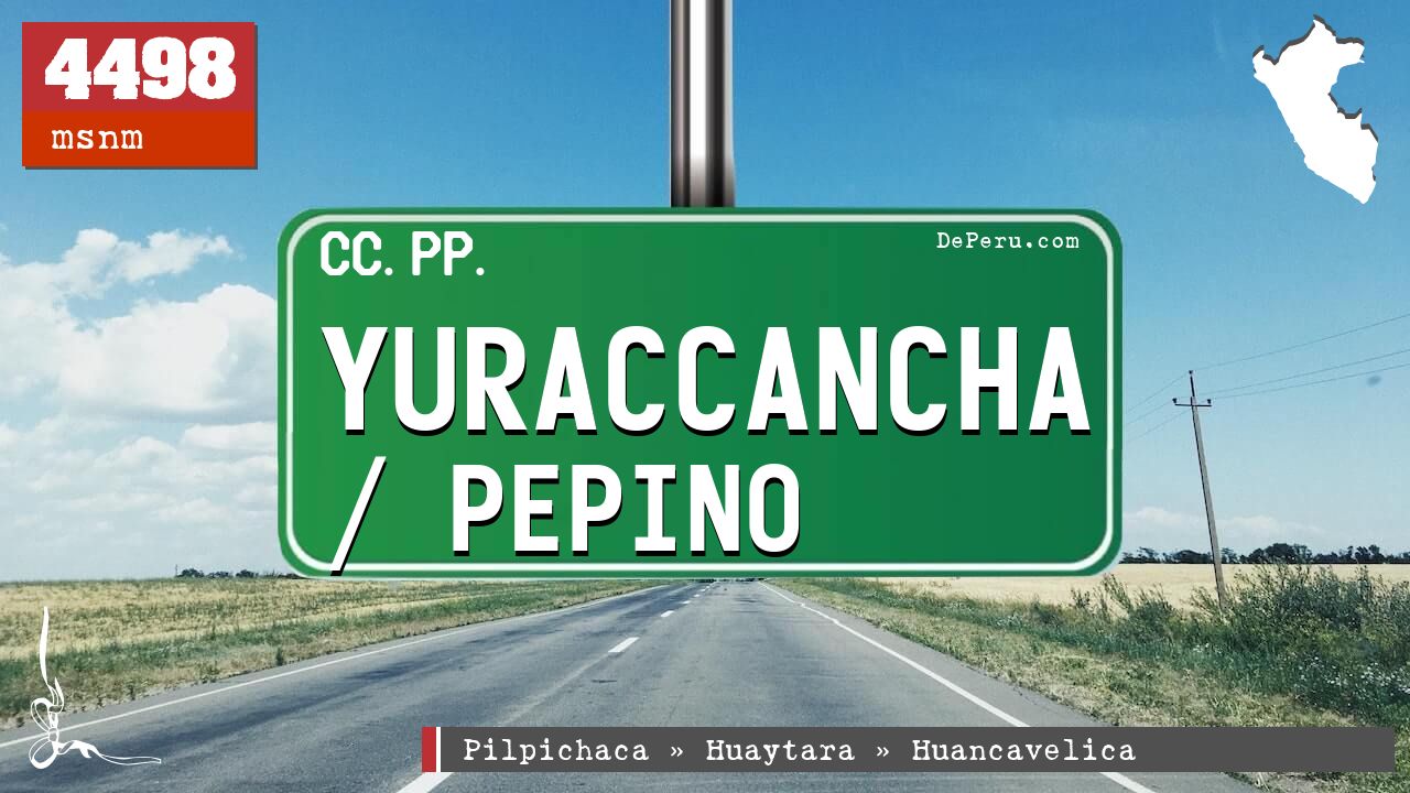 Yuraccancha / Pepino