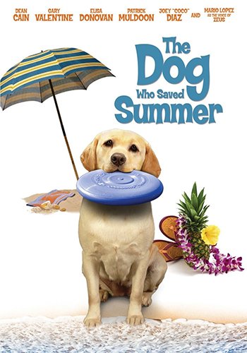 Héroe de Verano
