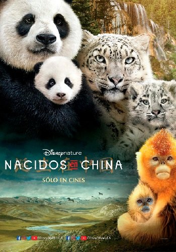 Nacidos En China