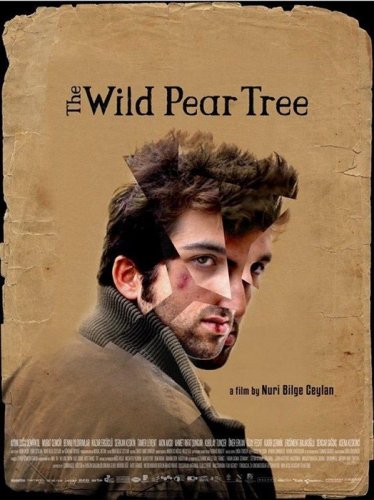 The wild pear tree