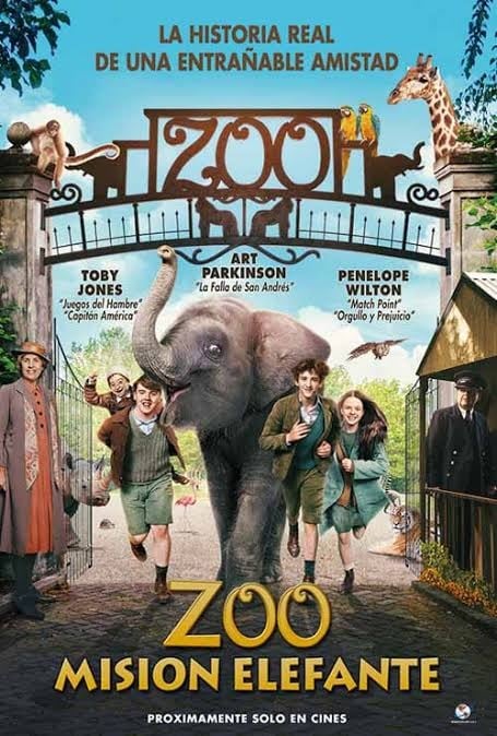 Zoo misin Elefante