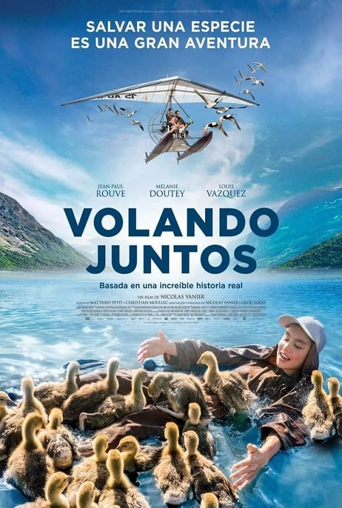 pelicula