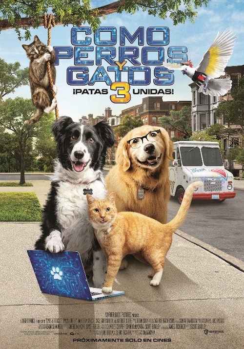 Como Perros y Gatos 3 Patas Unidas