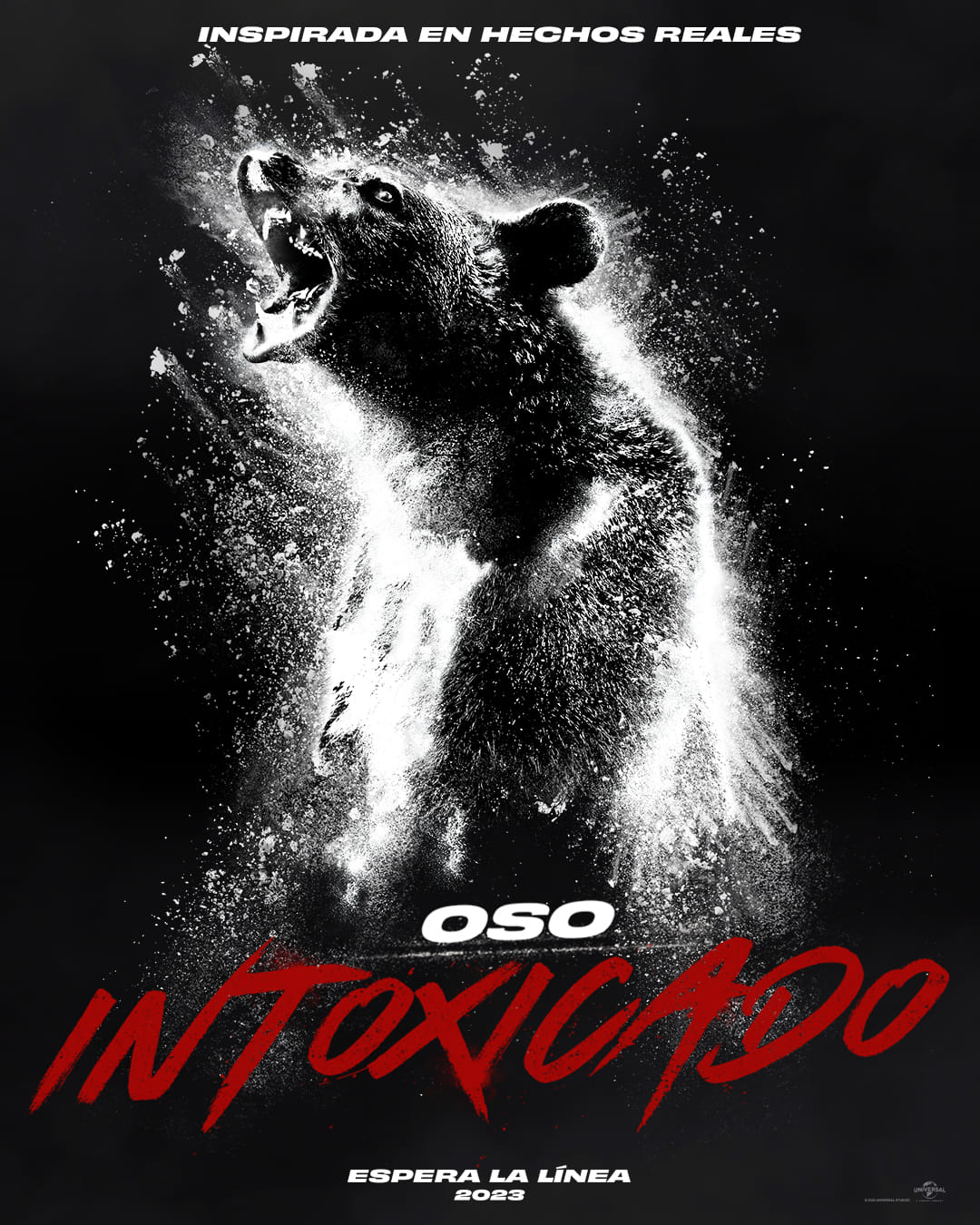 Oso intoxicado