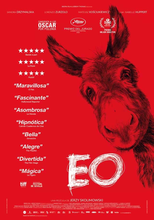 pelicula